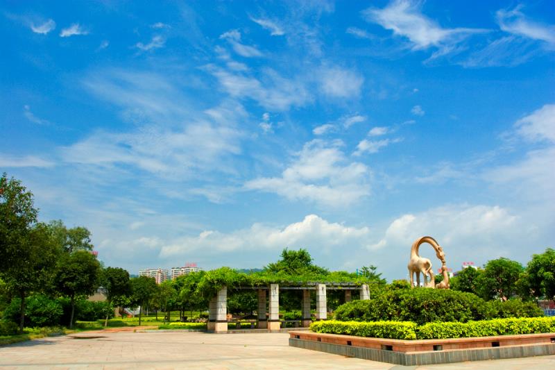 “圍捕雪豹”“漂流小孩哥大鬧幼兒園”等都是謠言！10起網(wǎng)絡(luò)謠言案件公布