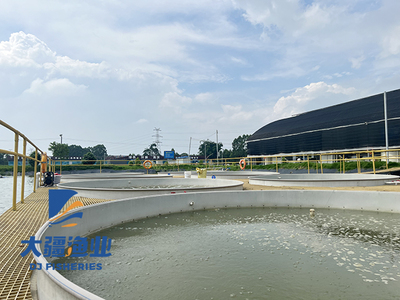 主推新技术:池塘工厂化循环水环保养殖技术