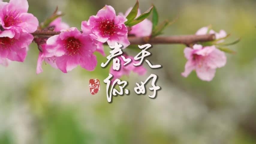 你好，韶關(guān)