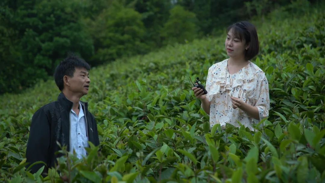 這位“全能型”記者不簡單！她用執(zhí)著與熱情記錄著仁化的發(fā)展
