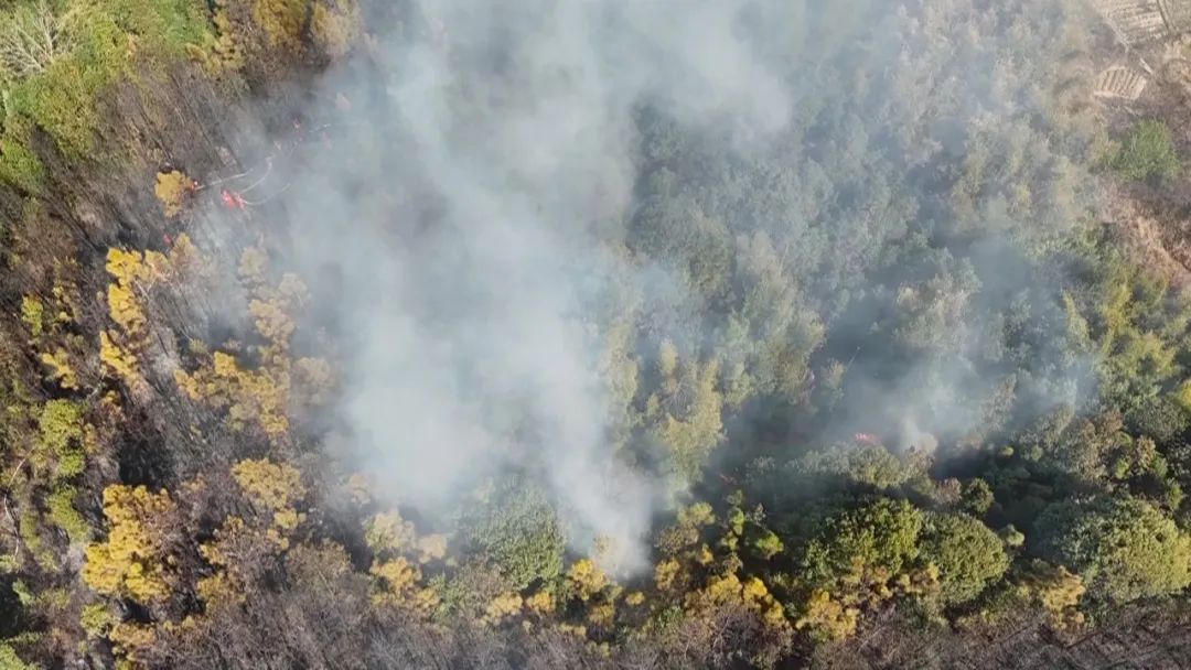 又起山火！又是祭祖時發(fā)生！韶關兩名村民被帶走