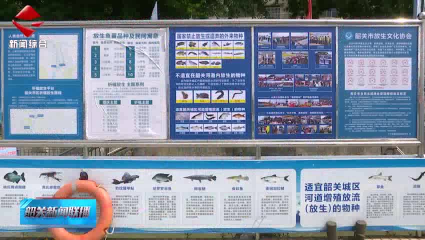 “六一”與“放魚日”邂逅 童心協(xié)力護(hù)生態(tài)